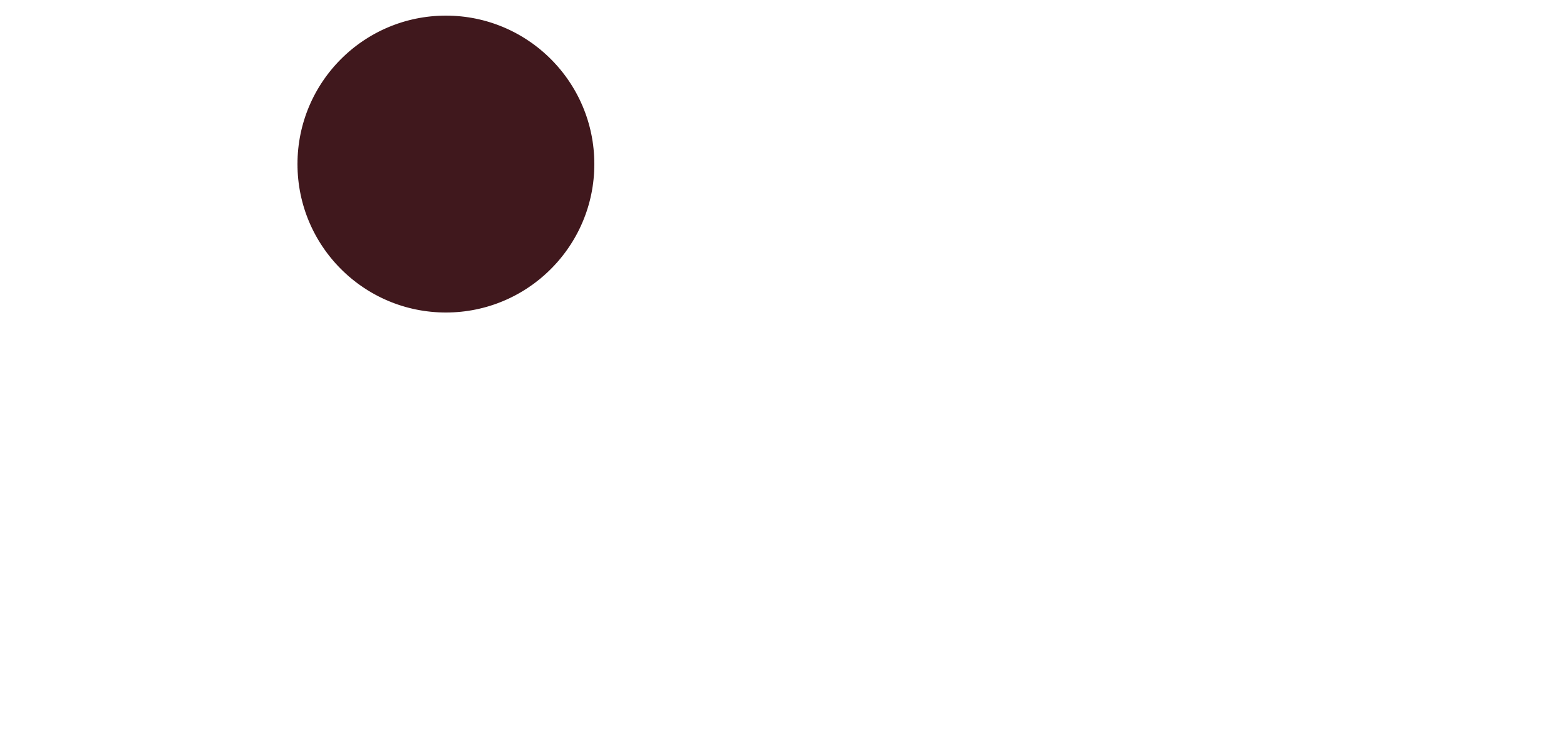 Prime Pixels Co.